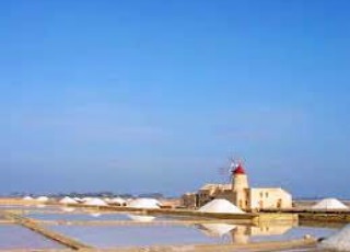 Marsala saline